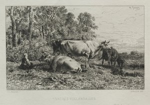Vaches hollandaises