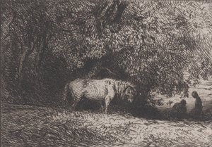 Cheval sous une branche d