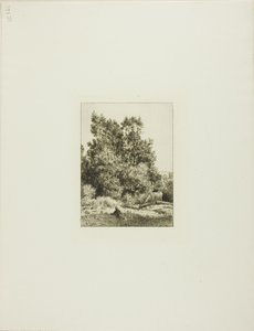 Paysage avec Vacher