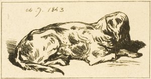Chien couché