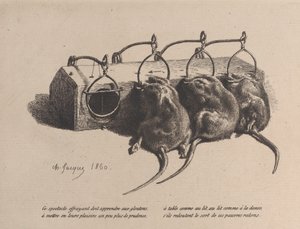 Piège à souris, 1860 - Charles Emile Jacque