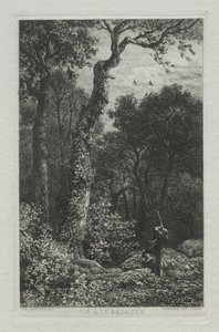Chasse à la Bécasse