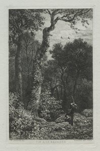 Chasse à la bécasse