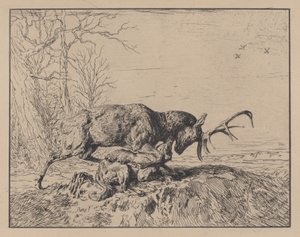 Cerf combattant un loup, d