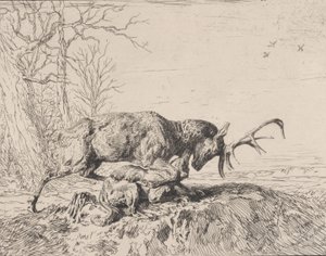 Cerf combattant un loup, d