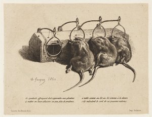 La Souricière - Charles Emile Jacque