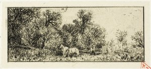Deux chevaux dans un bois