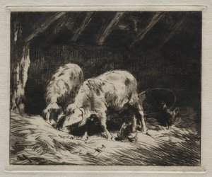 Deux porcs