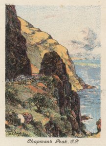 Afrique du Sud : Chapman