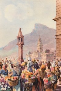 Afrique du Sud: Vendeurs de fleurs, Le Cap - Charles Ernest Peers