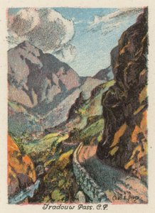 Afrique du Sud : Tradouw Pass, CP - Charles Ernest Peers
