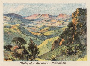Afrique du Sud : Vallée des Mille Collines, Natal
