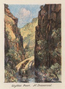 Afrique du Sud : Wyllies Poort, N Transvaal - Charles Ernest Peers