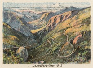 Afrique du Sud : Zwartberg Pass, CP
