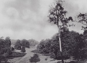 Parc de Knole - Charles Essenhigh Corke