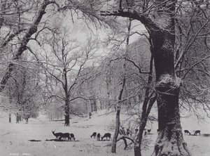 Parc de Knole - Charles Essenhigh Corke