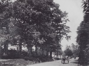 Les Sept Chênes - Charles Essenhigh Corke