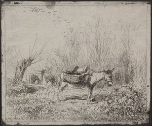 Un âne dans le champ, impression originale 1862, imprimée en 1921
