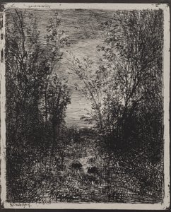Un ruisseau dans une clairière - Charles Francois Daubigny