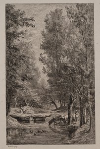 Ruisseau dans la vallée de Mondois