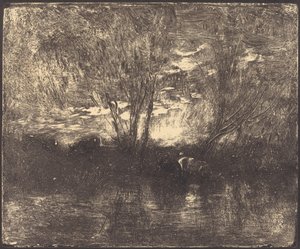 Vaches à l