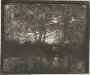 Vaches à l