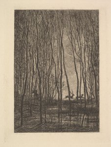 Cerfs dans les Bois, 1850 - Charles Francois Daubigny