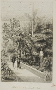 Intérieur de la Grande Serre - Charles Francois Daubigny