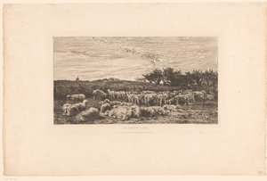 Paysage avec troupeau de moutons