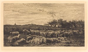 Le Grand parc à moutons
