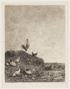 Le Chant du Coq - Charles Francois Daubigny