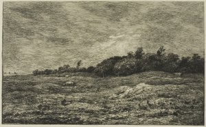 Le Pré des Graves à Villerville (Calvados) - Charles Francois Daubigny