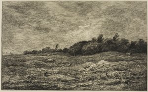 Le Pré des Graves à Villerville (Calvados) - Charles Francois Daubigny
