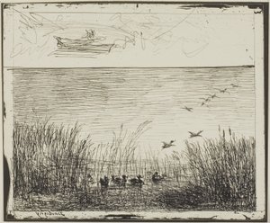 Marais avec des canards