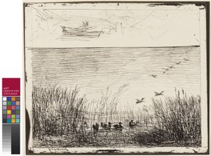 Marais avec des canards, 1862
