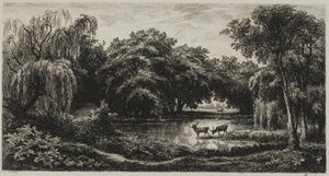 Marais avec cerfs - Charles Francois Daubigny