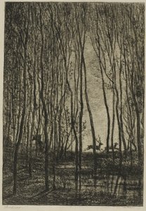 Cerfs dans les Bois - Charles Francois Daubigny