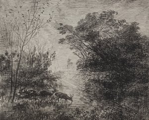 Cerfs, impression originale 1862, imprimée en 1921 - Charles Francois Daubigny