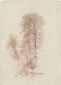 Étude de deux arbres élancés et de quelques plus petits arbres en feuilles
