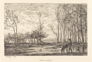 Soleil couchant - Charles Francois Daubigny