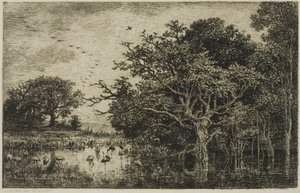 Le Marais avec des cigognes - Charles Francois Daubigny