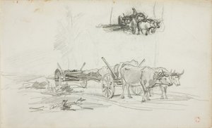 Deux croquis de bœufs tirant un tronc d