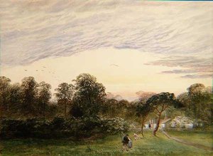 Dans Bannisters Wood, Southampton