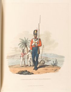 Un soldat du 5e Régiment des Antilles - Charles Hamilton (after) Smith