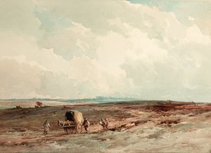 Sur la réserve forestière d
