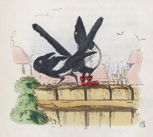 Deux pies sur une clôture de jardin