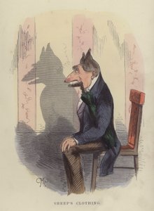 Peau de mouton