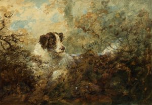 Chien - Charles Henry Schwanfelder