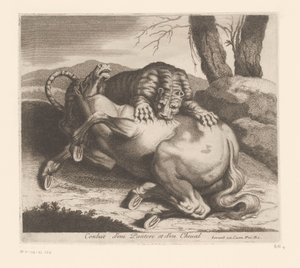 Combat entre une panthère et un cheval (Série d