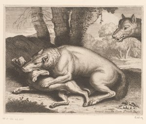 Chien attaqué par un loup (Série d